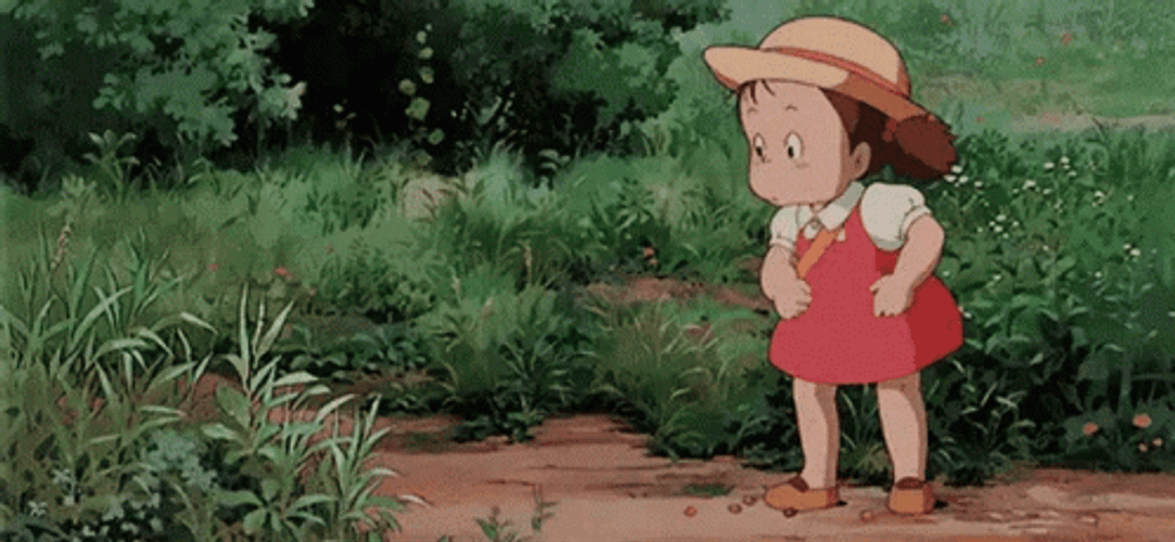 komşum totoro