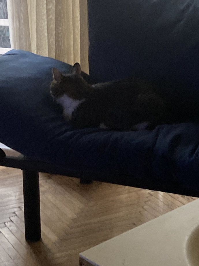 Size Ne Kahkaha Attırır?