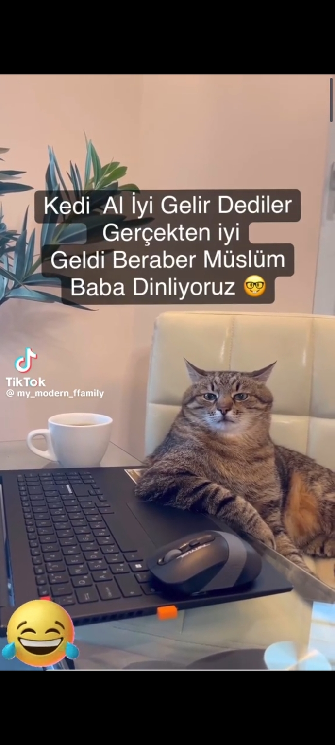 Evcil hayvan sahiplenmek psikolojiye iyi gelir mi?