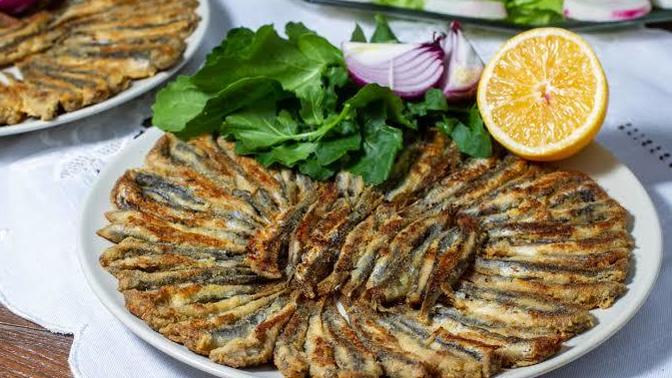 En çok hangi balığı seversin?