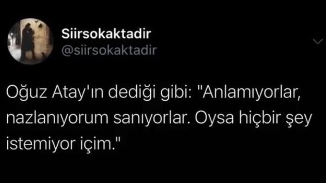 Kendinizi güzel ifade ettiğiniz halde yalnış anlaşılır mısınız , sizi anlayanlar var mı?