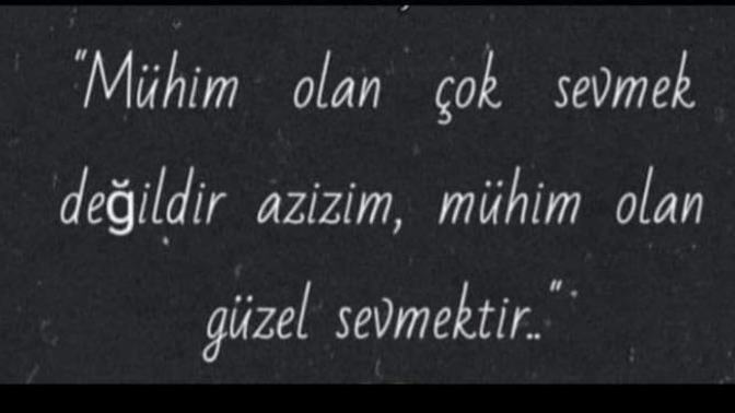İnsanlarda sevme duygusu olmasaydı ne olurdu?
