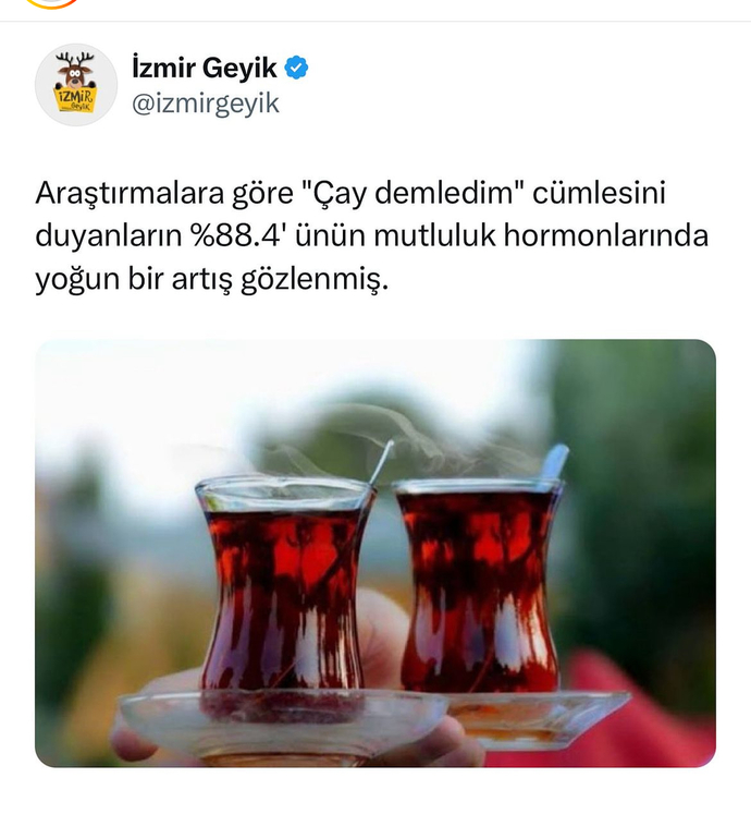 Çay demledim cümlesini seviyor musunuz?