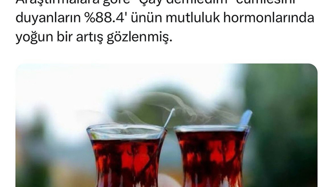 Çay demledim cümlesini seviyor musunuz?
