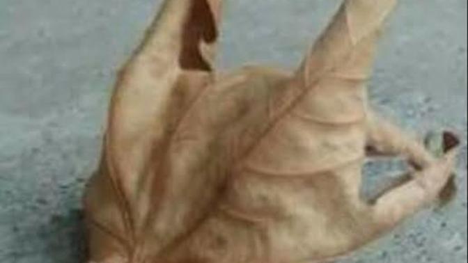 Hiç kimseyle konuşmak istemediğiniz zamanlarınız oluyor mu?