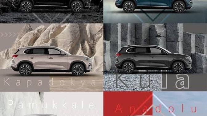 Kendisine veya ailesine ait otomobili olanlar, hangi renk aracınız var?
