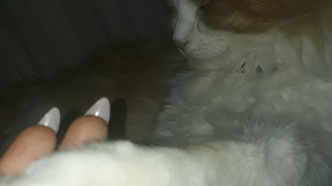 Sevgilimin elini tutarken yüzüme bakmıyor, sizce beni sevmiyor mu?