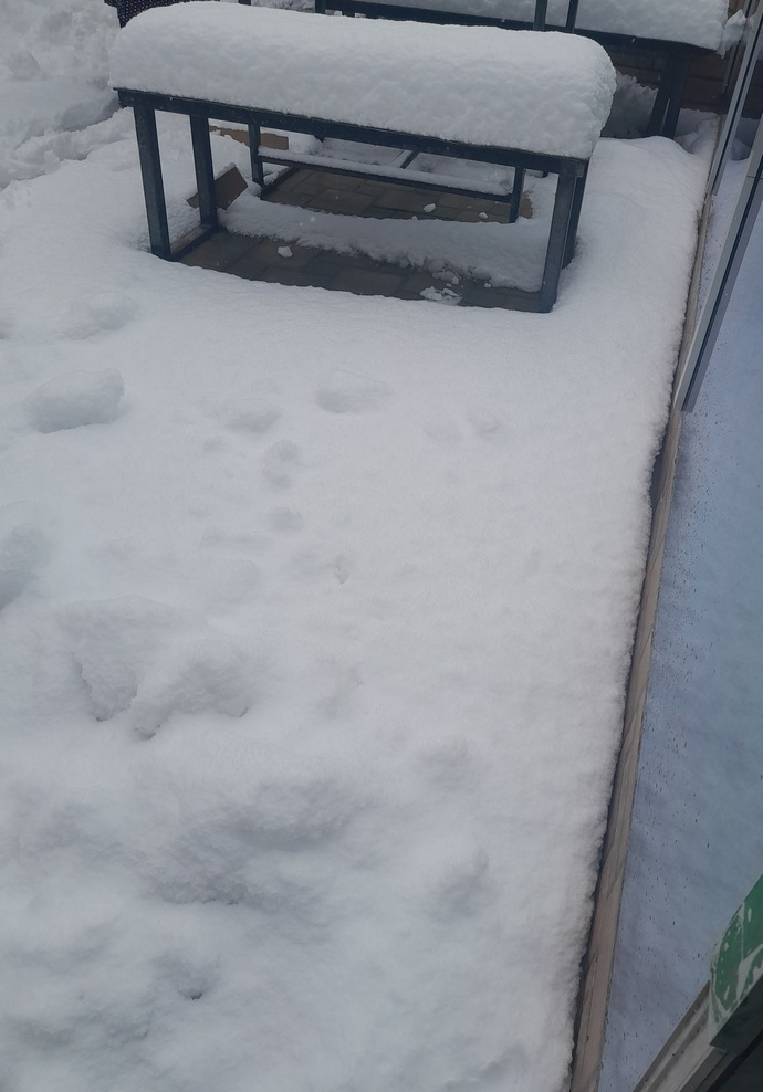 Azerbaycana karrr yağmiş sizin yaşadığınız yerde karr var mı☃️?