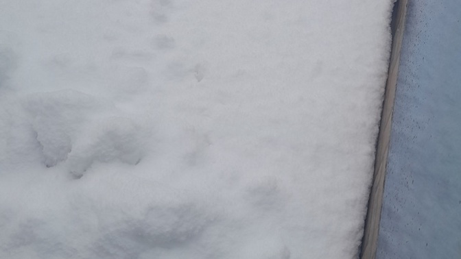 Azerbaycana karrr yağmiş sizin yaşadığınız yerde karr var mı☃️?