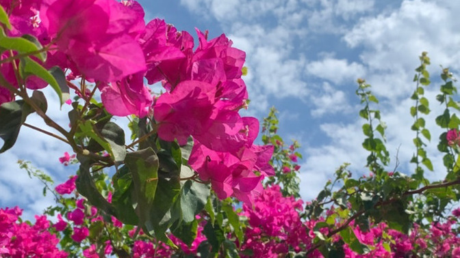 Hayatınızı çiçek yapan neler var 🌸?