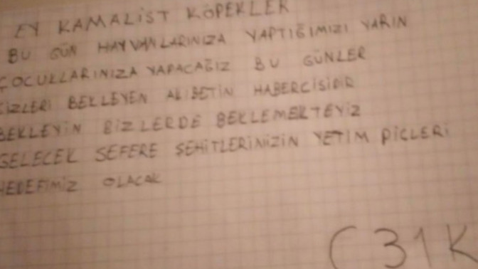 Adlarına C31K diyen ruh hastası pislikler sokak kedilerini işkence ile òldürüyor. bu Yaratıklar hakkında ne düşünüyorsunuz?