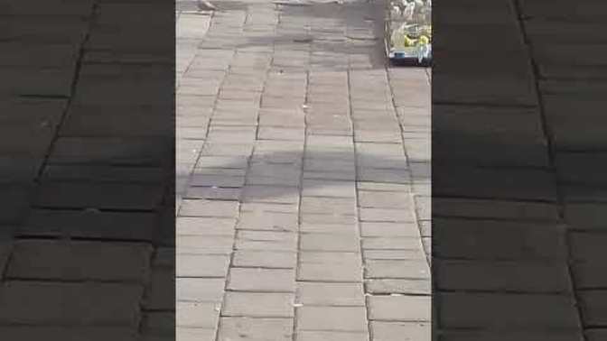 Kafesteki kus musun özgür Musun?