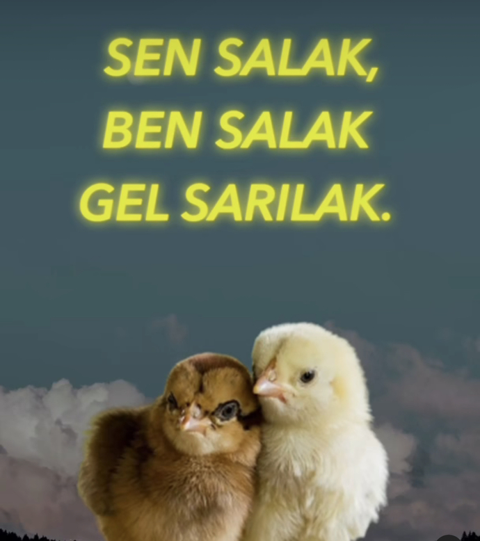 Görsele öldüm…
