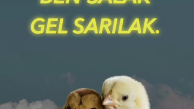 Kime sarılmak isterdiniz KS halkı?