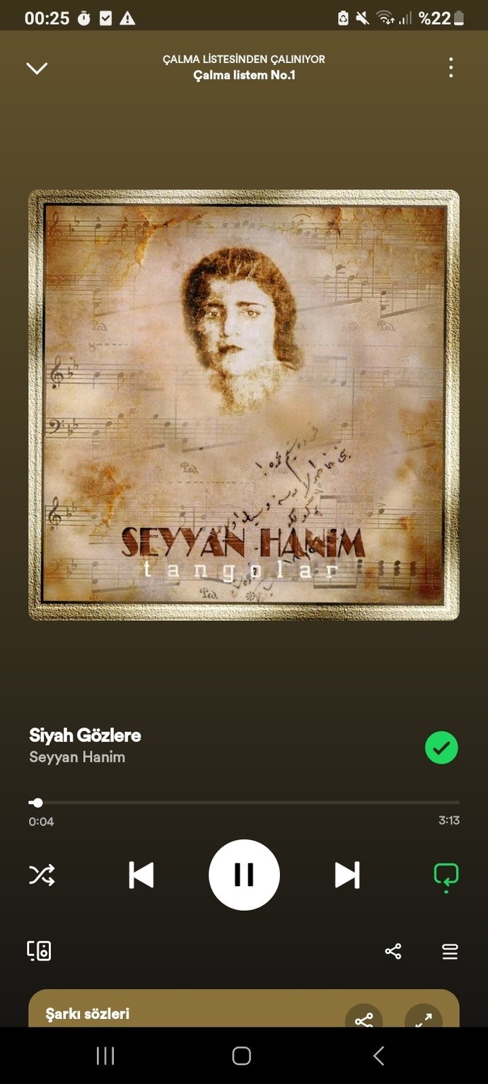 Sevdiğiniz eski Türkçe şarkılardan bir tane bırakır mısınız?