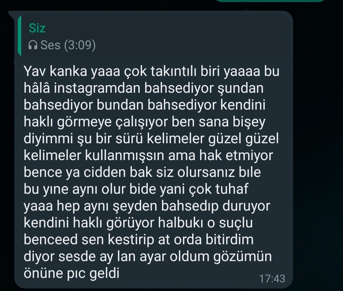 Bu da arkadaşımın mesajı..