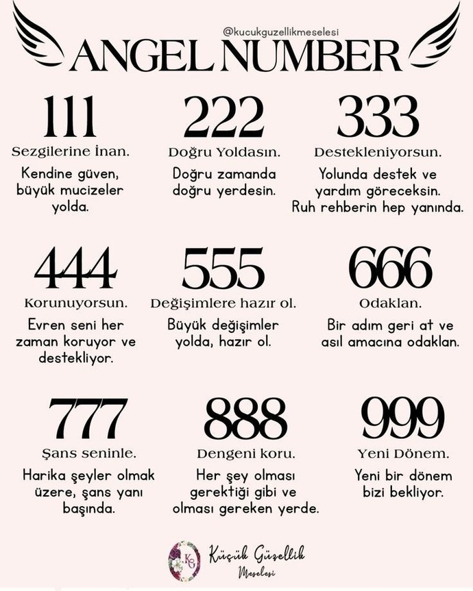 Sayılar hayatımızla ve evren ile ilişkili midir?