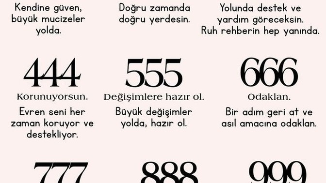 Sayılar hayatımızla ve evren ile ilişkili midir?