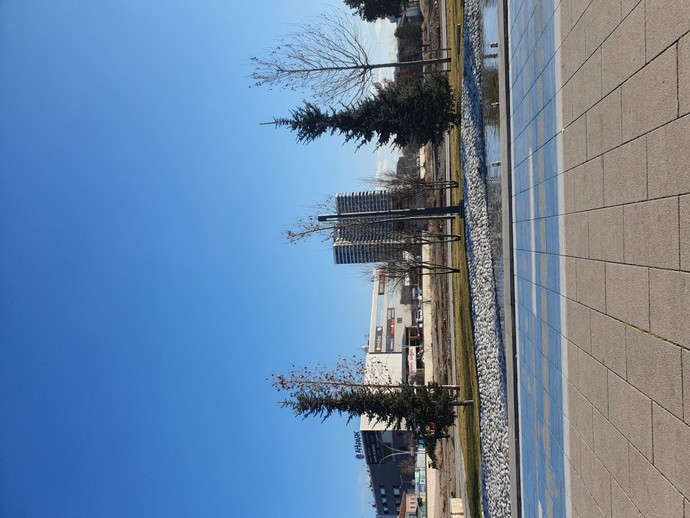 Bugünü ne yaparak geçiriyorsunuz?