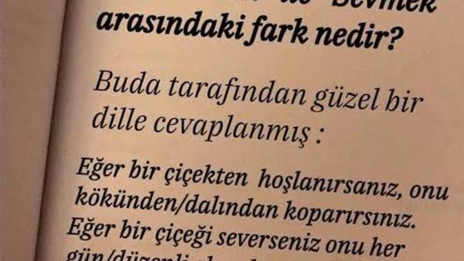 Birinden Hoşlandığınız da Bunu Nasıl Belli Eder siniz?