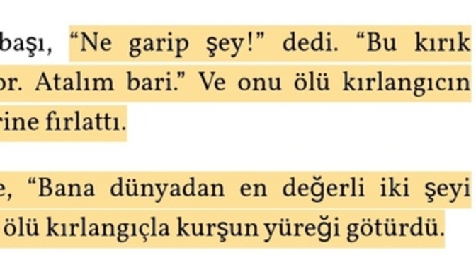 Kitapların altını çizer misiniz?