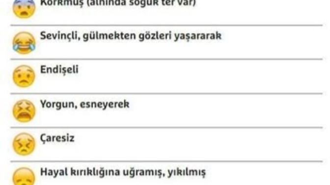 Pazar gününü bir emoji ile özetlesen hangisi olur?