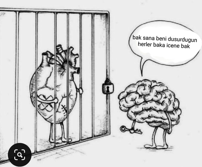 Burdaki insanlar bir şeyi görmezden mi geliyorlar bana mi öyle geliyor 🙄🙄😑?