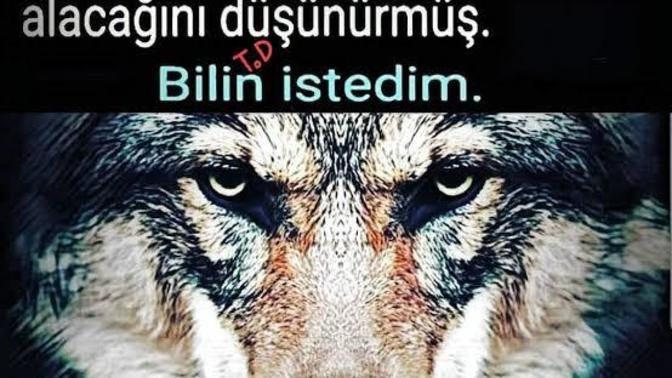 Doğu Türkistan için şimdiye kadar hiç bir şey yapmayan mahlukatlar, Filistine destek verildiğini görünce neden kuduruyorlar?