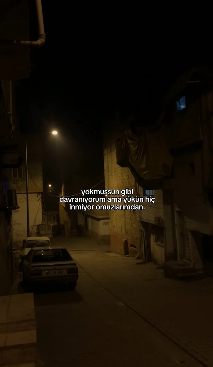 Sizce böyle videoları beğenen erkek özlüyormudur?
