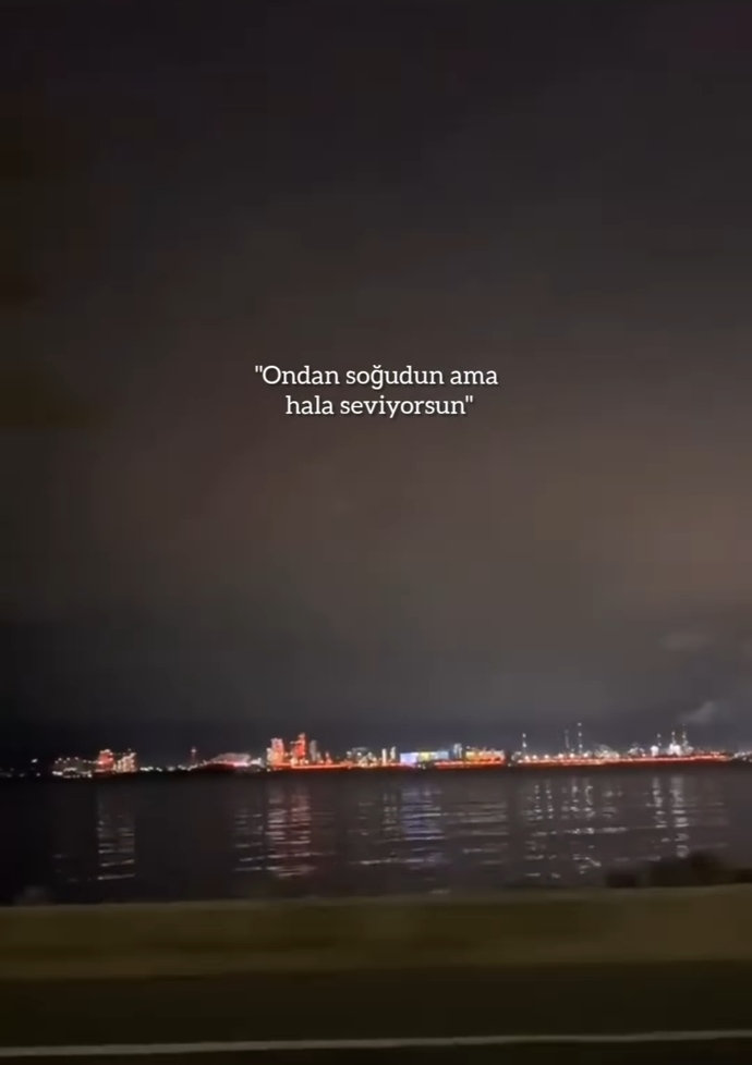 Sizce böyle videoları beğenen erkek özlüyormudur?