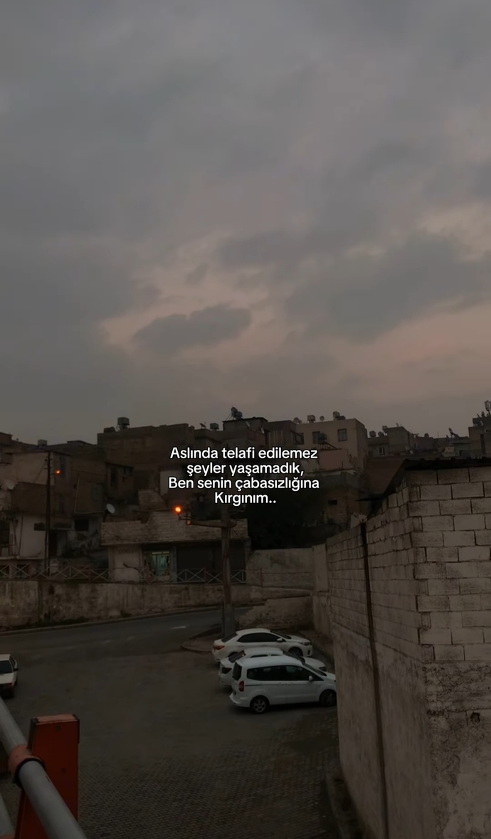 Sizce böyle videoları beğenen erkek özlüyormudur?