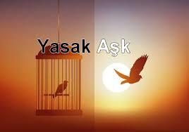 En güzel aşk türü sizce hangisidir?