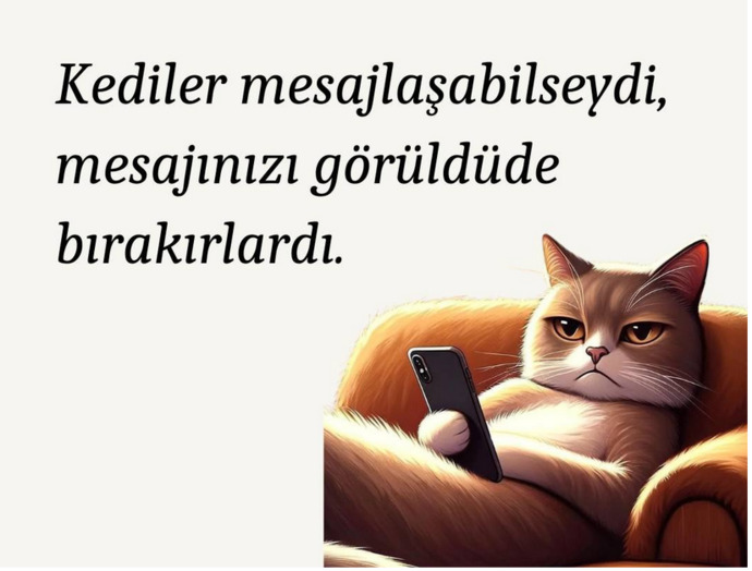 Kediniz mesaj atabilseydi, size gün içinde ne yazardı?