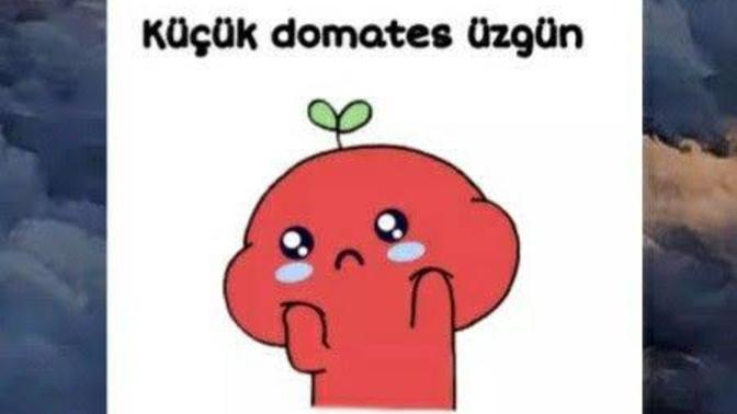 Küçük domatesi kim üzmüş?