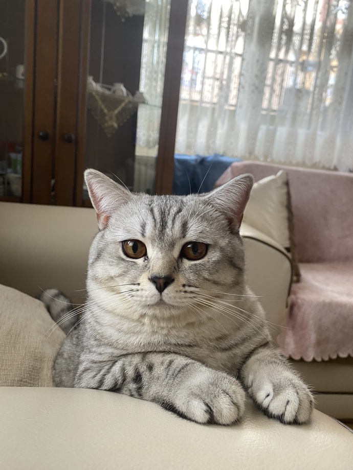 Senin de bi baş belan var mı?