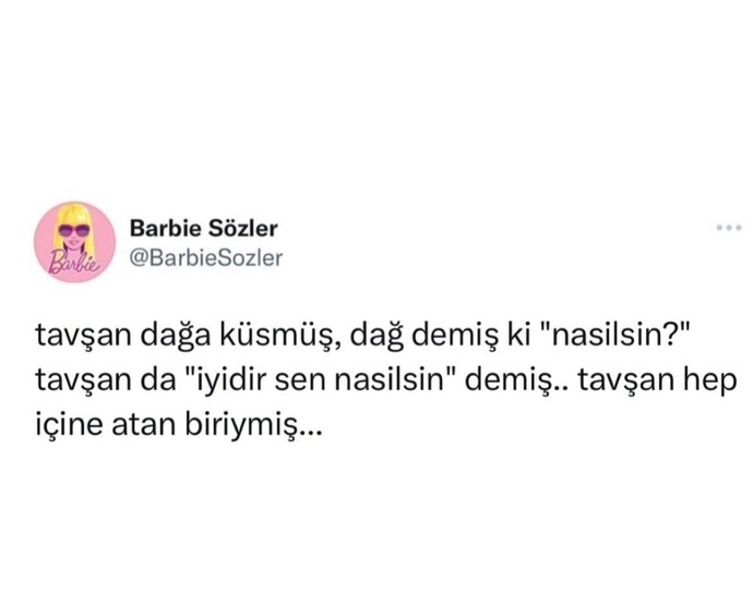 Sana eğer bir Hayvan olarak yaratılsaydın hangisi olmak yakışırdı söyleyeyim mi KS Can?