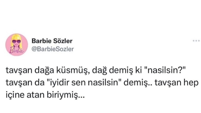 Sana eğer bir Hayvan olarak yaratılsaydın hangisi olmak yakışırdı söyleyeyim mi KS Can?