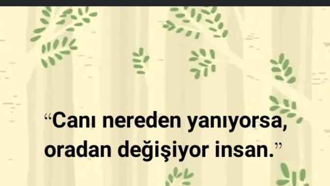 Caniniz nerden yandi?