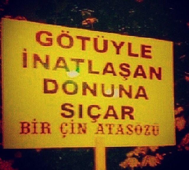 Duyunca şaşırdığınız güldüğünüz ya da hoşunuza giden atasözü deyim var mı?
