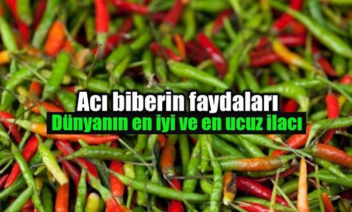 Mide rahatsızlığı olanlar acı biber gibi besinleri ne sıklıkla tüketmeli?