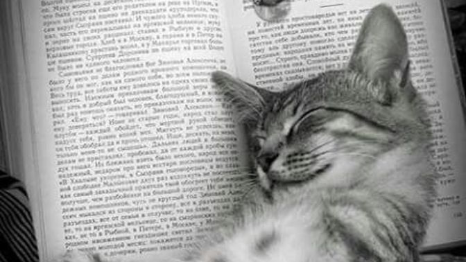 En son nerede uyuyakaldın?