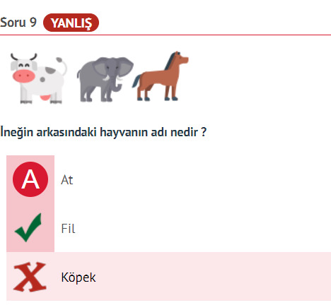 Sorunlarınızı nasıl çözüyorsunuz?