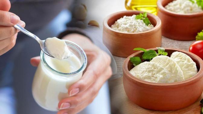 Hazır yoğurtlar, ev yogurtlarından daha fazla tercih ediliyor! Ev yoğurdunun sevilmeme nedeni ne?