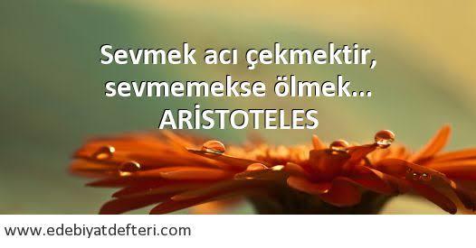 Aşkla ilgili bir cümle kursanız bu cümle ne olurdu?