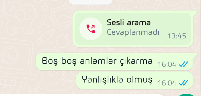 Eski sevgilimin profiline bakarken yanlışlıkla aramak?