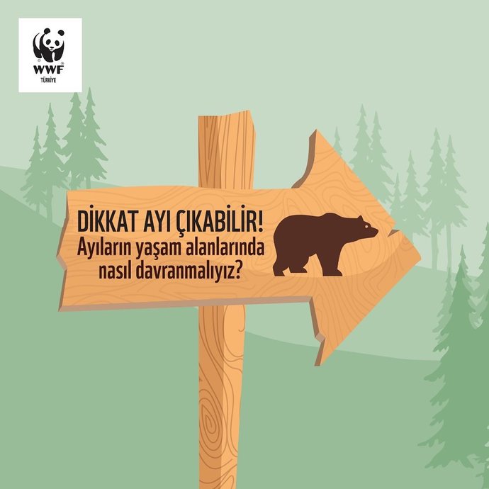 Evlilik demek mutluluk demek midir yoksa mutsuzlukta çıkabilir mi?