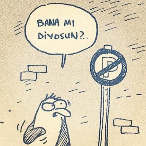 Alınganlık seviyesi yüksek, odunsu kızlar hakkında ne düşünüyorsunuz?