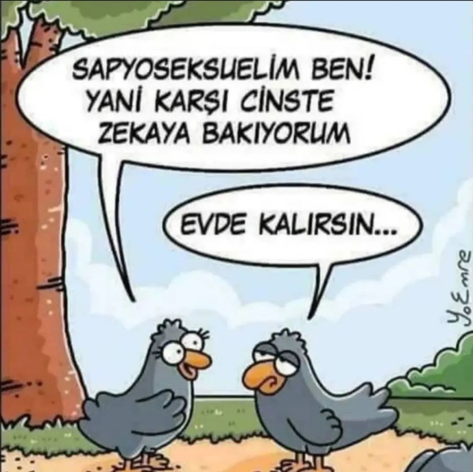 Cinsellikte belli başlı kriterleriniz, kurallarınız var mıdır, varsa neler?