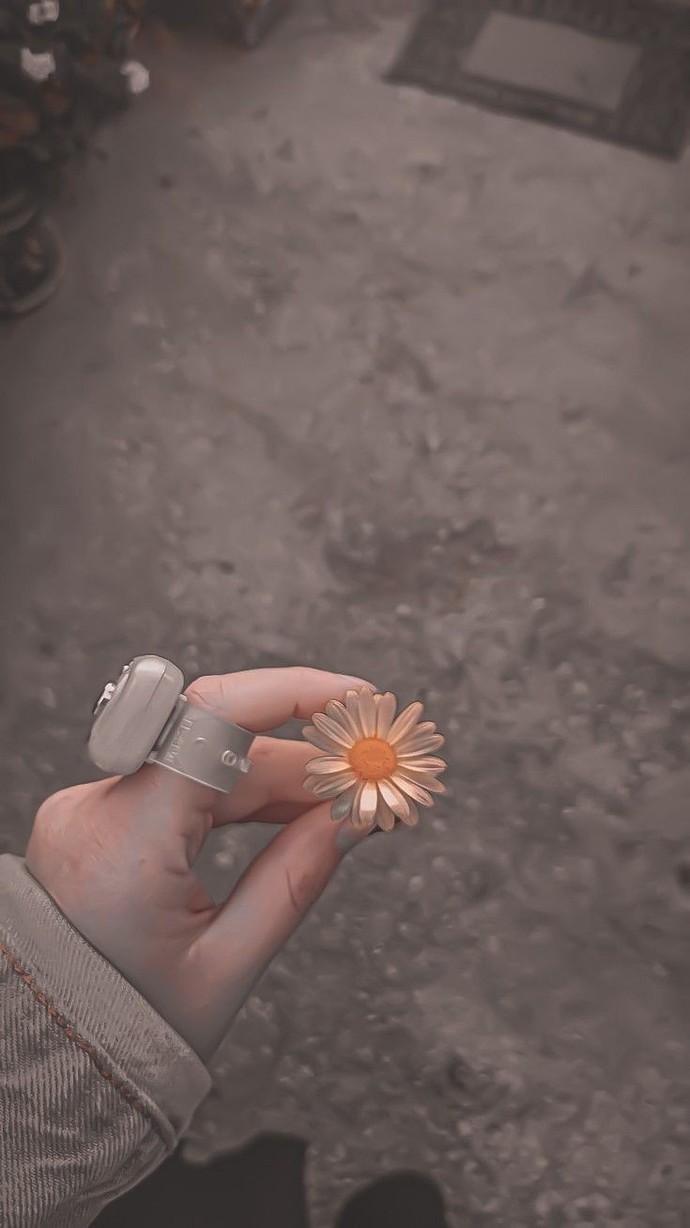 🍂