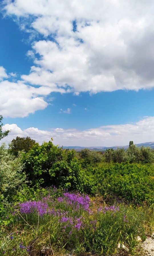 Gökyüzü mavisi mi daha huzur verici, deniz mavisi mi?